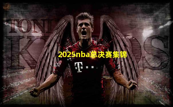 2025nba总决赛集锦