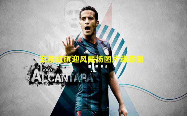 五星红旗迎风飘扬图片动态图