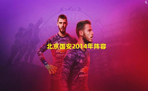 北京国安2014年阵容