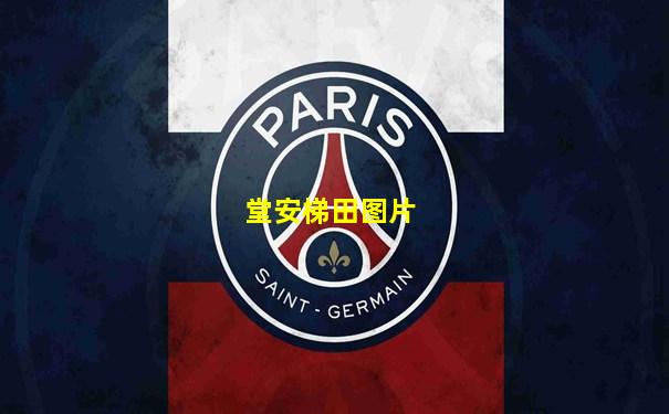 堂安梯田图片