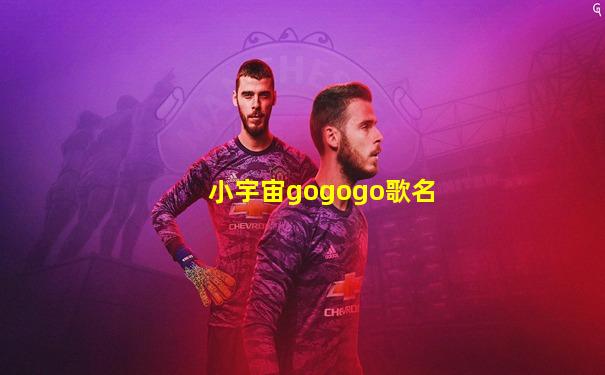 小宇宙gogogo歌名