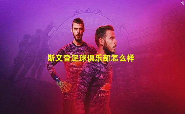 斯文登足球俱乐部怎么样