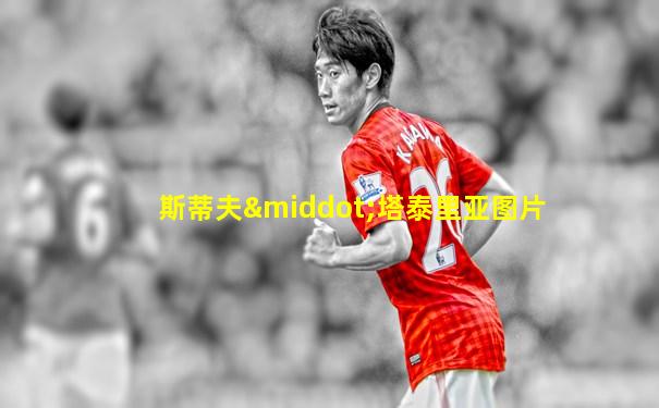 斯蒂夫·塔泰里亚图片