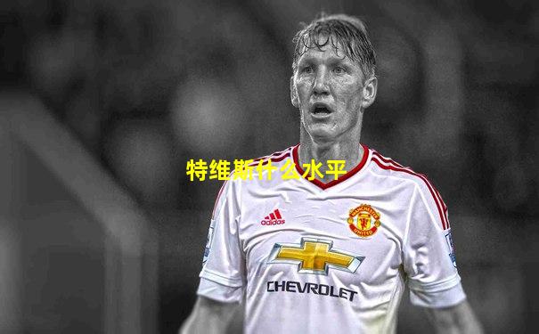 特维斯什么水平