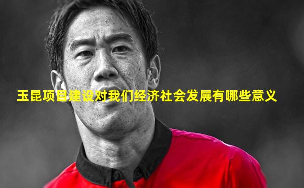 玉昆项目建设对我们经济社会发展有哪些意义