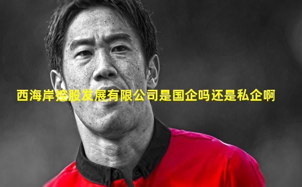 西海岸控股发展有限公司是国企吗还是私企啊