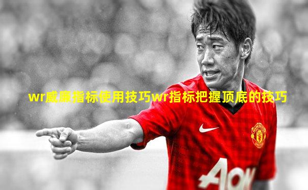 wr威廉指标使用技巧wr指标把握顶底的技巧