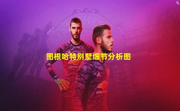 图根哈特别墅细节分析图