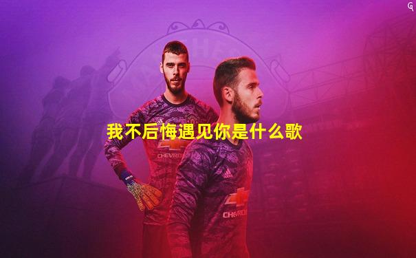 我不后悔遇见你是什么歌