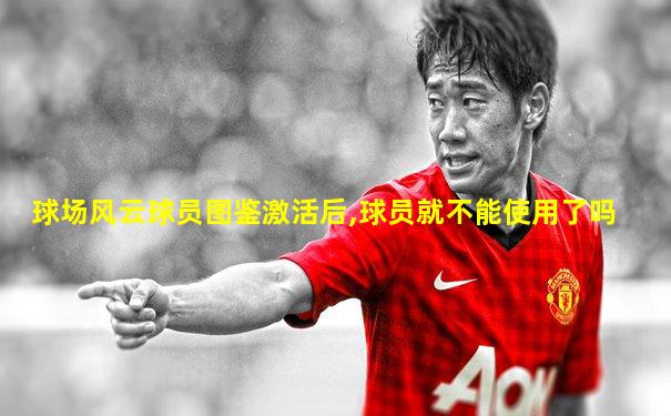 球场风云球员图鉴激活后,球员就不能使用了吗