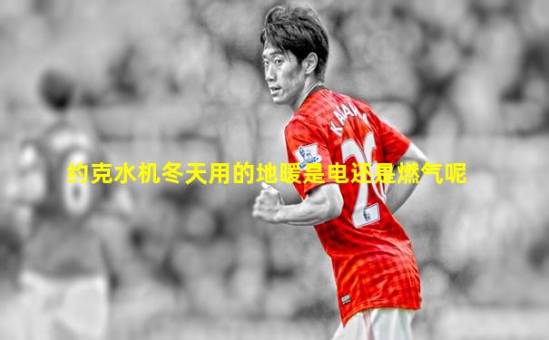 约克水机冬天用的地暖是电还是燃气呢