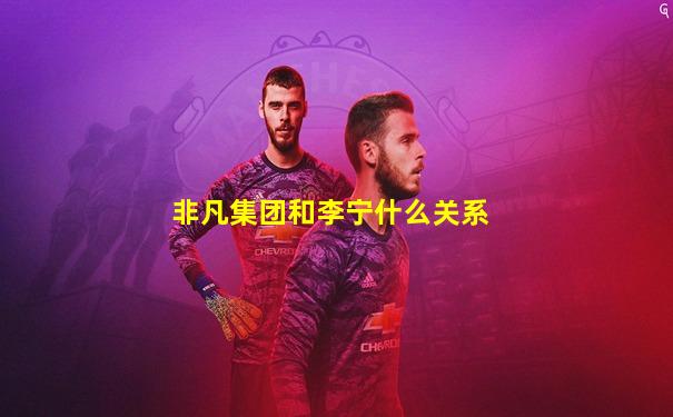 非凡集团和李宁什么关系