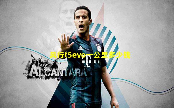 风行t5evo一公里多少钱